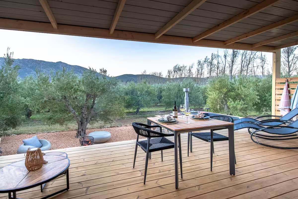 Views from the patio of the olive groves